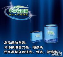 廣德多樂士漆業(yè) 廣州至武漢汽車用品優(yōu)質(zhì)供應(yīng)商