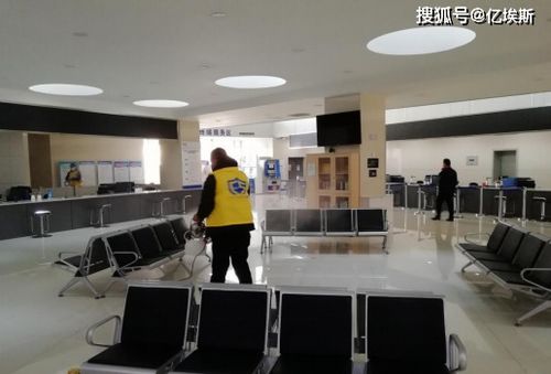 專業消毒服務 破解政府辦公單位、幼兒園及餐飲行業消殺難題的全面指南