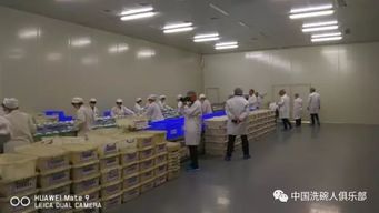 國(guó)標(biāo)餐飲具集中消毒服務(wù)單位衛(wèi)生規(guī)范研討會(huì) 筑牢消毒服務(wù)安全防線